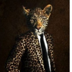 GATOMACHO
