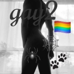 gay2